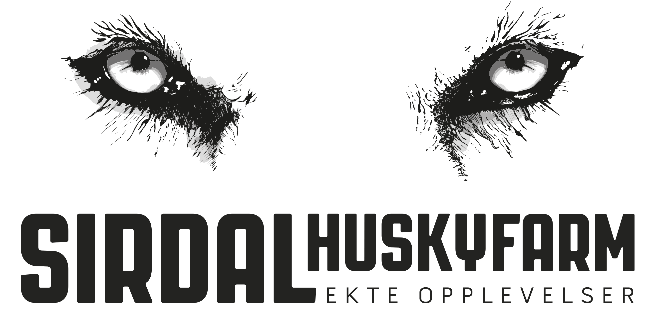 LogoSHF_fullfarge_auf_wei%C3%9F%20Kopie